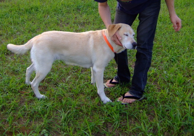 f0001698_16521.jpg