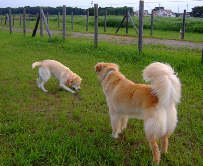 f0001698_2263319.jpg