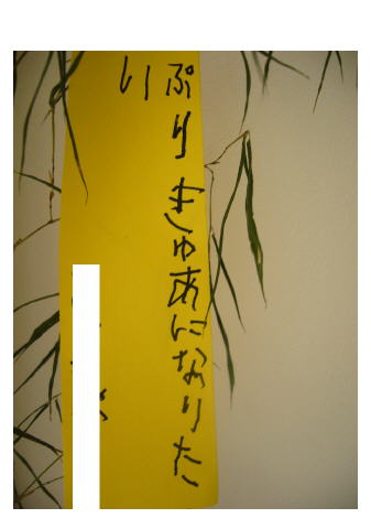a0060899_13573287.jpg