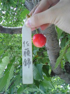 b0079206_2182290.jpg