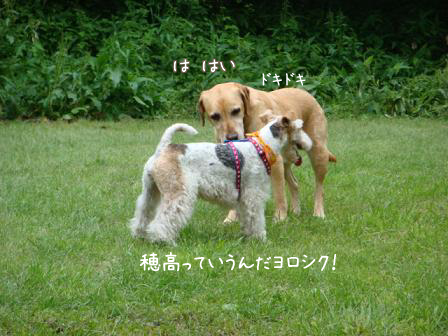 f0064906_2125321.jpg