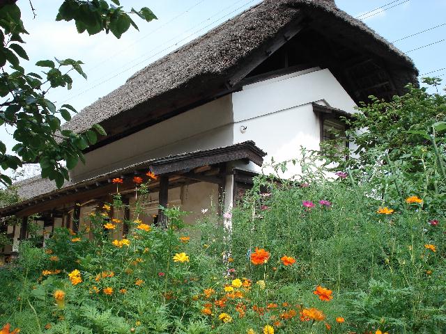 f0084806_8193861.jpg