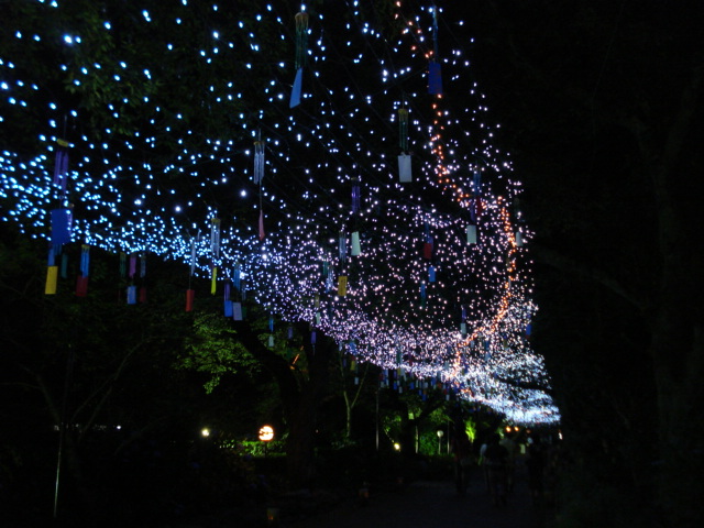 e0015108_9262024.jpg