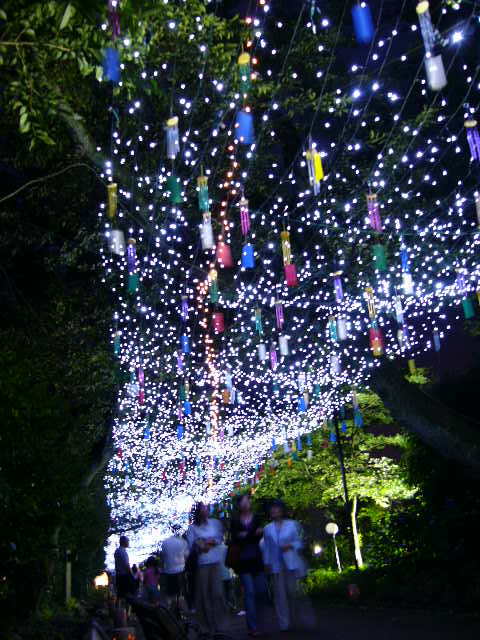 e0015108_9293186.jpg
