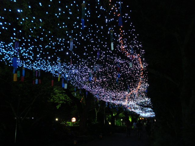 e0015108_9331254.jpg