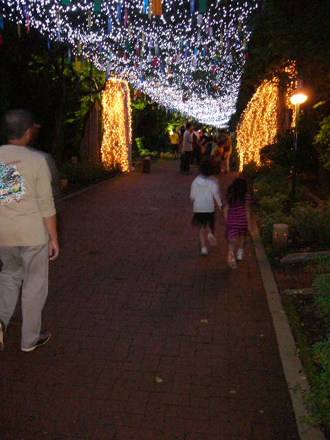 e0015108_940560.jpg