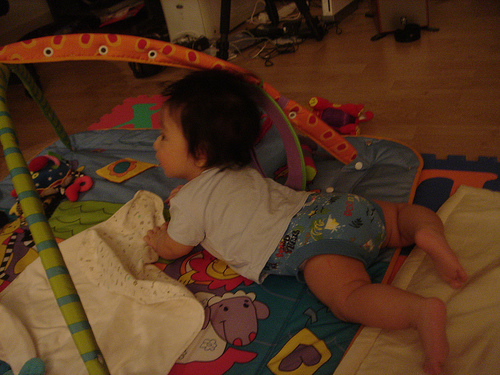 b0077516_792912.jpg