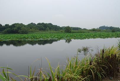 c0115121_2126244.jpg