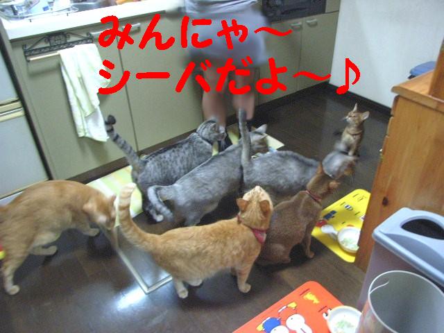 d0081025_19495257.jpg