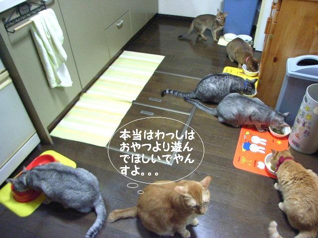 d0081025_19513712.jpg