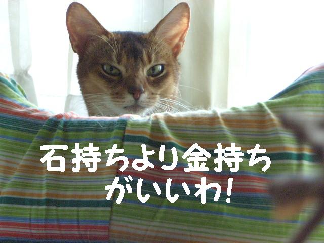 d0081025_2014224.jpg