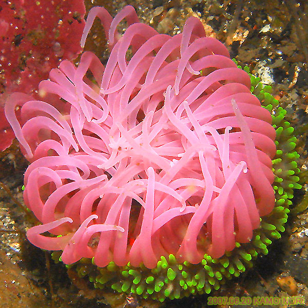 b0044726_9455537.jpg