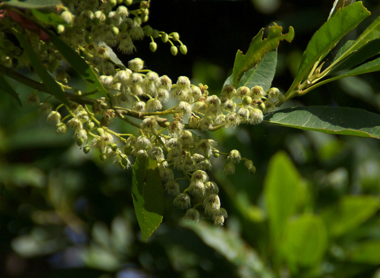 d0053930_6214015.jpg