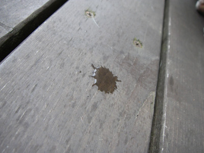 e0008833_17342373.jpg