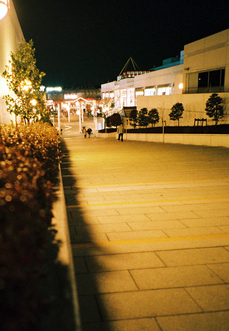 b0063234_9553735.jpg