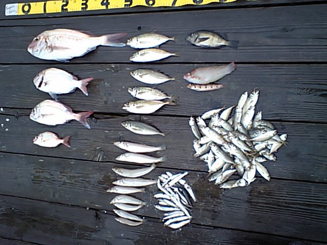 f0009238_22461534.jpg