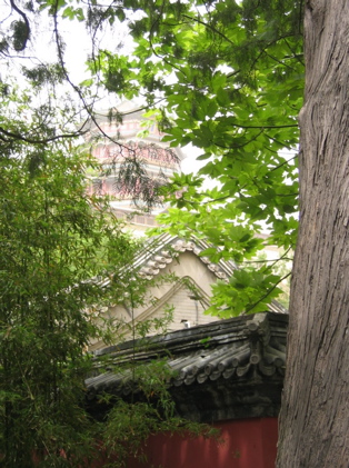 d0085939_22205173.jpg