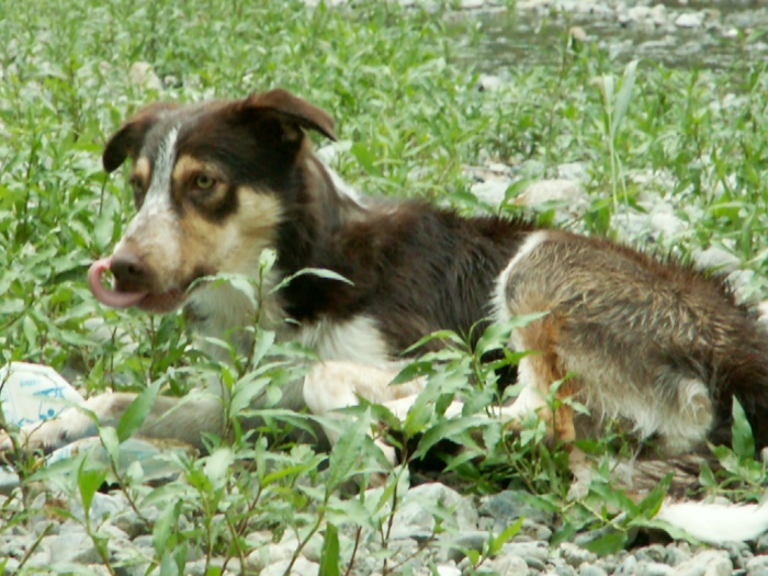 d0077740_031091.jpg