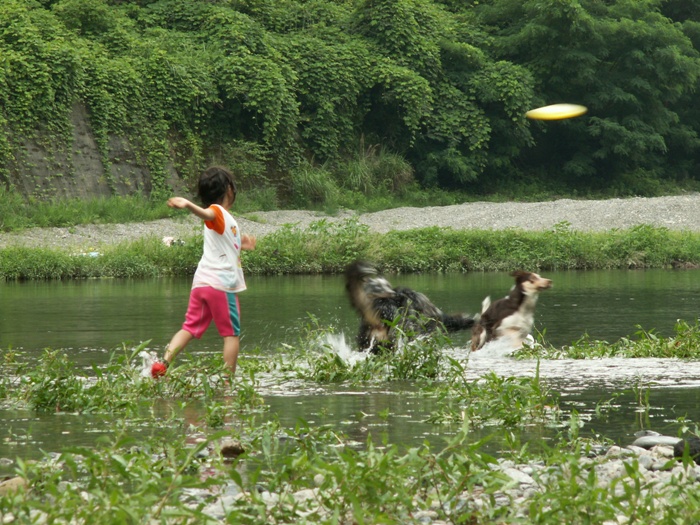 d0077740_032775.jpg