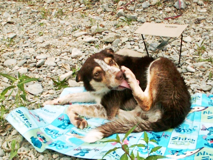 d0077740_041160.jpg