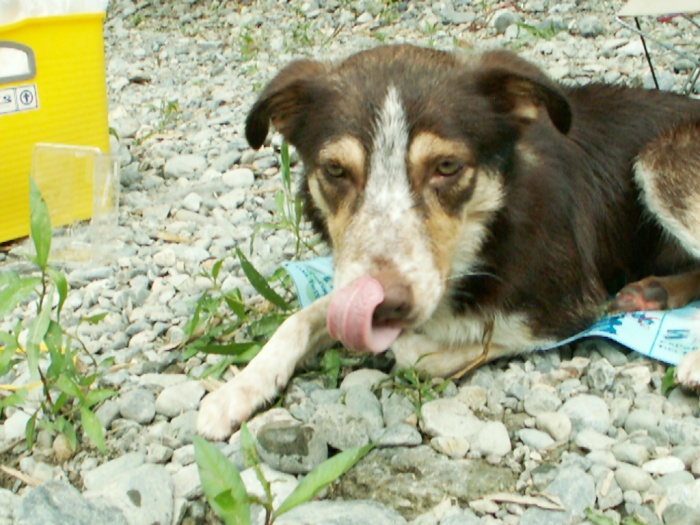 d0077740_042371.jpg