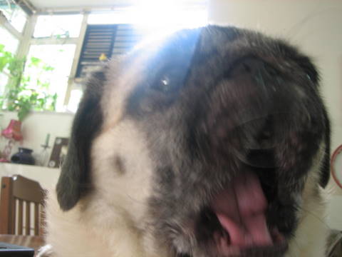 e0018143_1522178.jpg