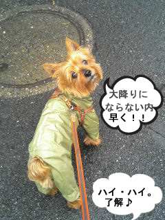 c0033145_2352758.jpg