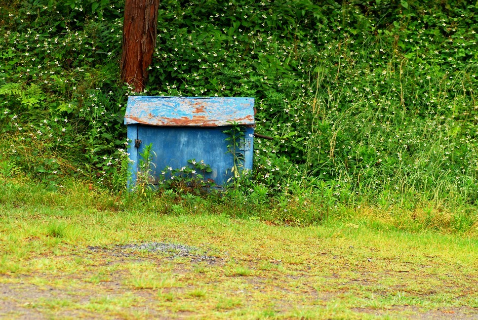 e0009147_20484148.jpg