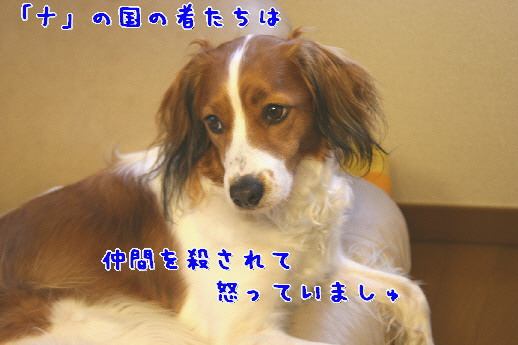 d0013149_2257109.jpg