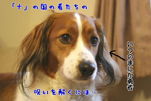 d0013149_231537.jpg