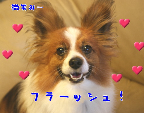 d0013149_2316199.jpg
