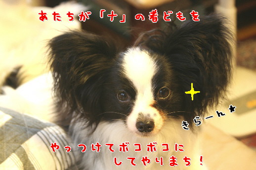 d0013149_2353666.jpg
