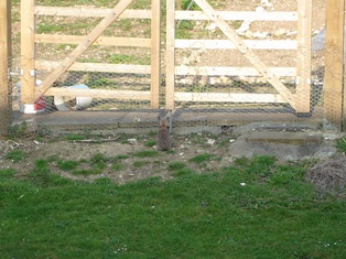 e0018350_2543342.jpg