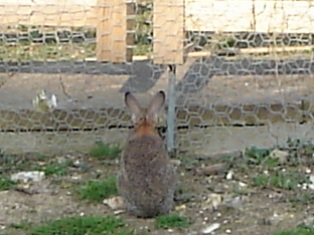 e0018350_2545879.jpg