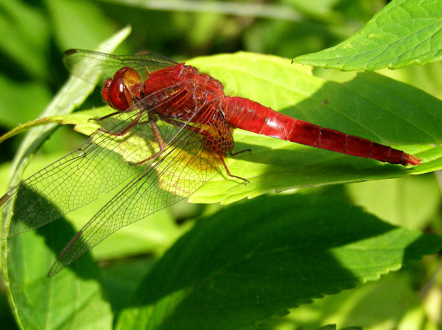 e0064158_16995.jpg