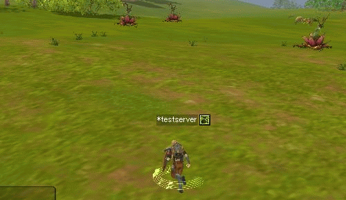f0091762_1341074.gif