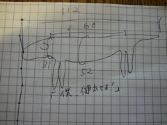 a0100564_1954548.jpg