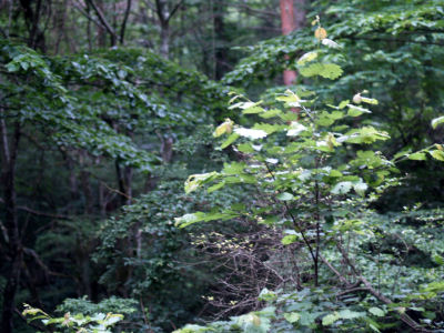 f0107364_13105210.jpg