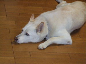 f0005081_21191433.jpg