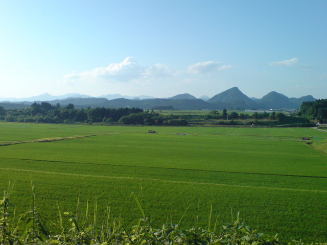 f0137483_10252178.jpg