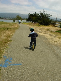 c0045287_3114769.jpg