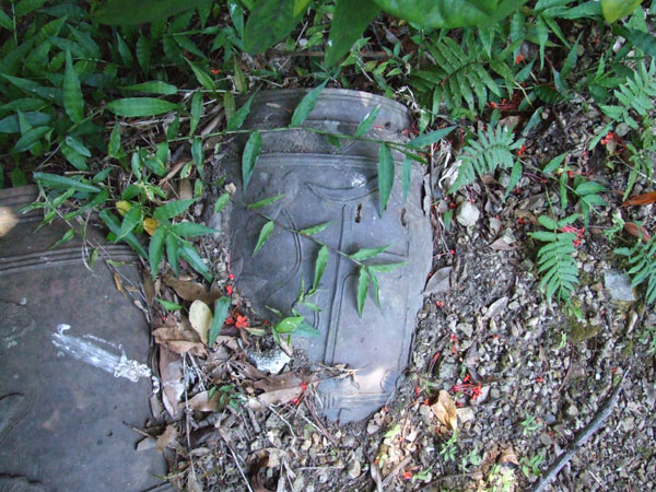 e0028387_14342618.jpg