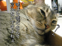 a0045990_0276.jpg