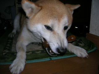 c0123890_21532760.jpg