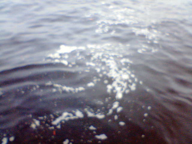 b0084893_9291776.jpg