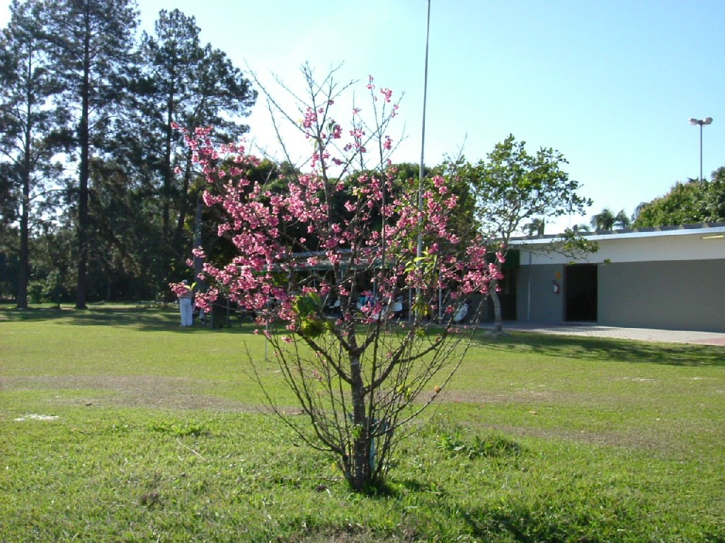 e0118096_2056145.jpg