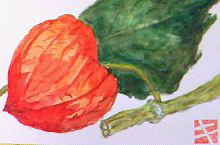 f0008597_18481985.jpg