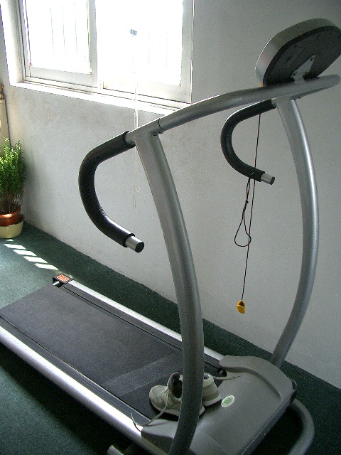 d0090300_19505475.jpg