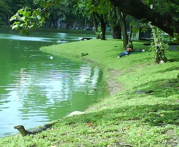 e0007801_1110179.jpg