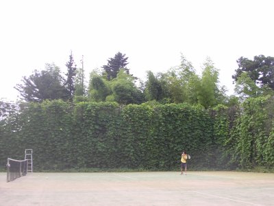 d0064505_2244352.jpg